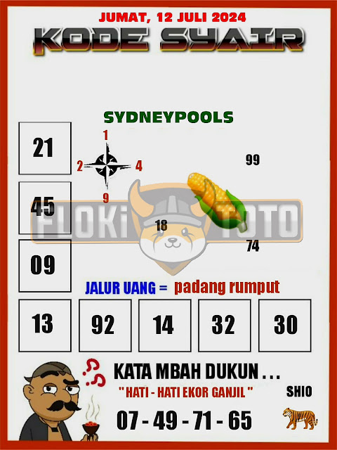 SYAIR SDY VIP